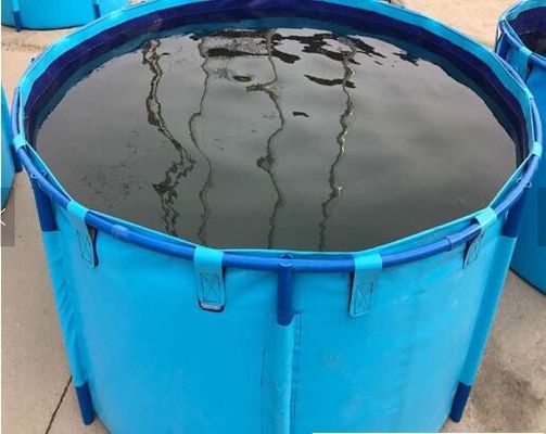Balık Yetiştiriciliği Akvaryum Su Depolama Tankı, Yer Üstü Mavi Silindir Balık Göleti Katlanabilir Balık Tankı