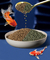 Süs Balığı Şişirilmiş Balık Akvaryumu için 20kg / Torba Koi Yemi