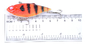 Tam Yüzme Katmanı Sert Yem Boyalı VIB Balıkçılık Cazibesi Altı Renk 6.50CM/7.70g