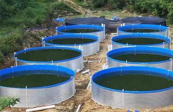 Galvanize Yaprak Akvaryumlar Tarpaulin Balık yetiştirme tankları 20M D 1.20M H