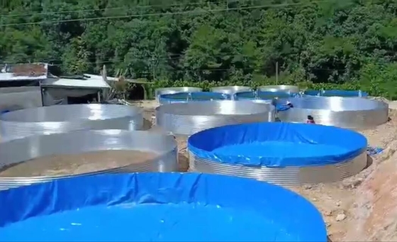 Galvanize Yaprak Akvaryumlar Tarpaulin Balık Tankı 50000 Litre