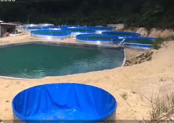 Galvanize Yaprak Akvaryumlar Tarpaulin Balık Tankı 50000 Litre