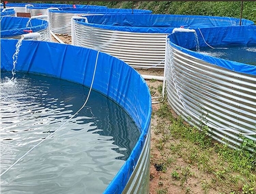 Akvaryumlar Galvanize Yapraklı Politen Balık Havuzu 10M D 1.20M H