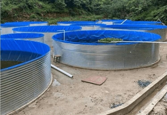 Akvaryumlar Galvanize Yapraklı Politen Balık Havuzu 10M D 1.20M H
