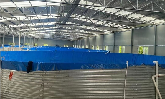 Galvanize Yaprak Akvaryumlar Tarpaulin Balık yetiştirme tankları 20M D 1.20M H