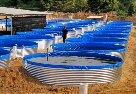 Galvanize Yaprak Akvaryumlar Tarpaulin Balık Yetiştirme Tankı 30M Enlem Büyük