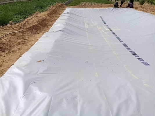 PVC Tarpaulin Katlanabilir Tarımsal Yağmur Su Toplama Mesanesi
