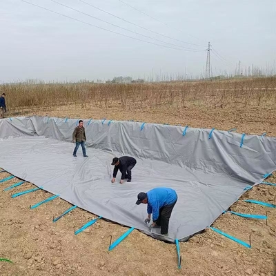 PVC Tarpaulin Katlanabilir Tarımsal Yağmur Su Toplama Mesanesi