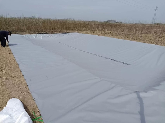PVC Tarpaulin Katlanabilir Tarımsal Yağmur Su Toplama Mesanesi