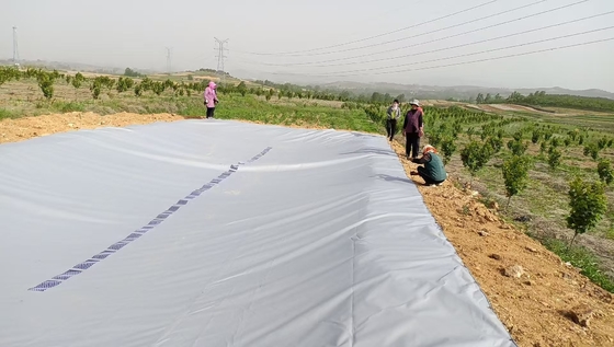 Çevre dostu PVC Tarpaulin Tarım için Yağmur Su Toplama Tankı