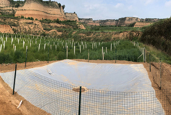 Çevre dostu PVC Tarpaulin Tarım için Yağmur Su Toplama Tankı