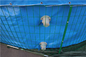 Çelik Hasır ile Katlanabilir 50000 Litre PVC Tente Balık Göleti