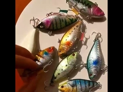 Plastik Yemler Deniz Balıkçılığı Lazer Biyonik Balık Yemi