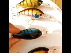 Plastik Yemler geniş dil yayın balığı Deniz Balıkçılığı Yemi