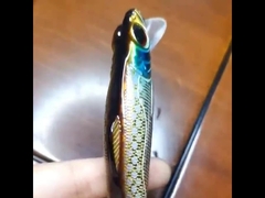 Plastik Yemler Deniz Balıkçılığı Uzak Atış Sert Yem