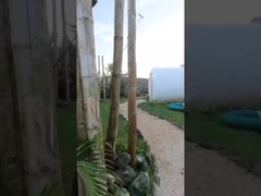 Otel Odası Açık Ev Şişme Balon Çadırı